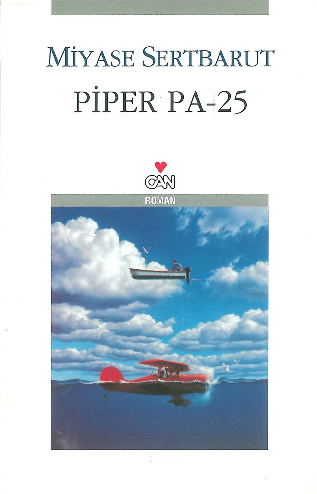 Piper Pa - 25